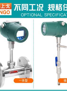 热式气体质量流量计插入式管道式流量气体压缩空气气体流量计