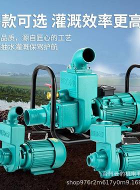 大流量污水自吸泵家用220V离心泵380V2寸3寸灌溉抽水机增压泵井水