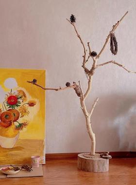 。干树枝原木树枝杈艺术枯枝去皮树枝鸟站架灯架壁挂衣架树枝装饰