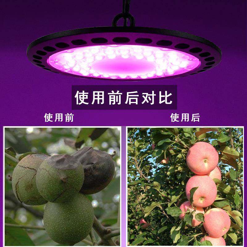 热销新款植物生长补光灯大棚温室蔬菜绿植LED灯200W大功率,淘宝优惠券,粉丝福利购,淘宝优惠卷