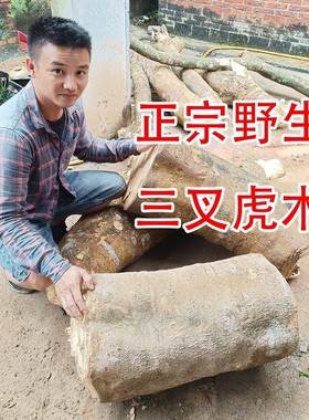 【钥匙扣款】正宗老木三叉虎三丫虎三叉苦木葫芦汽车钥匙扣挂件挂