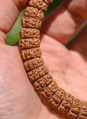 爆肉藏式龙切盘龙单圈小金刚菩提佛珠原桩念珠文玩手串梅花桩手持