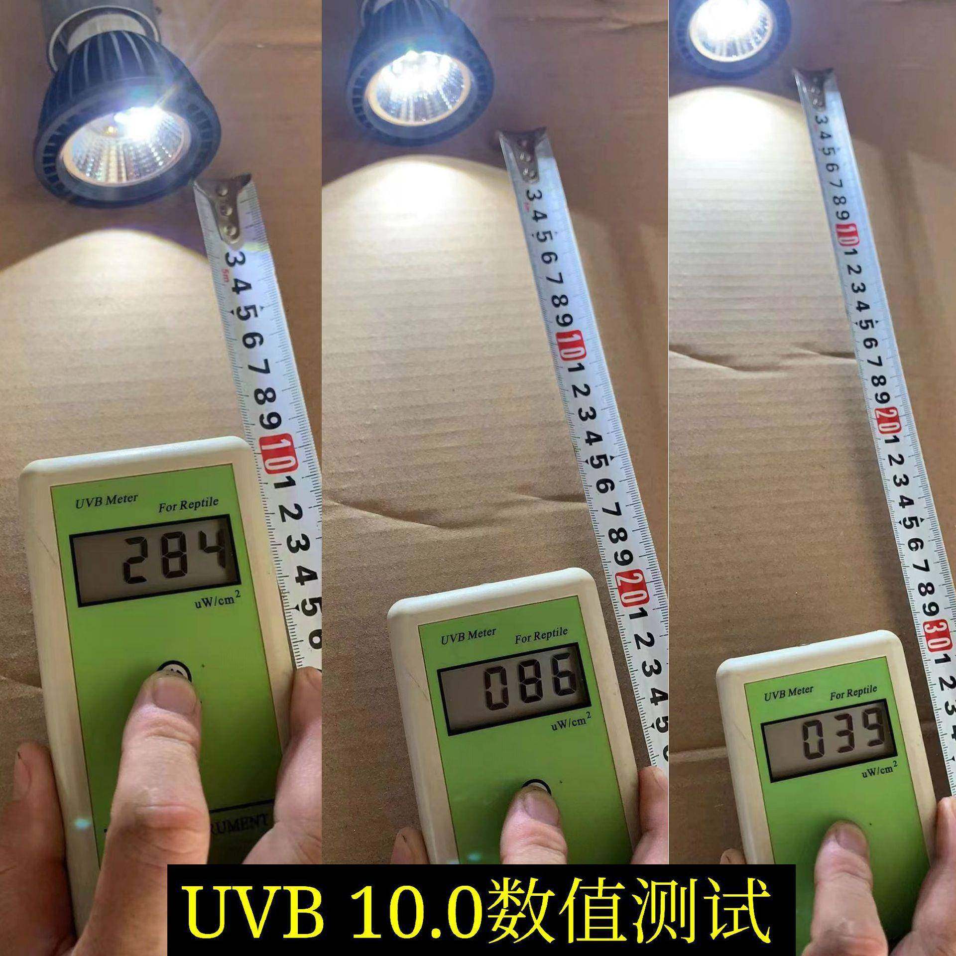 爬宠LED太阳灯 UVA UVB补钙灯 照明补光灯 4瓦节能灯多肉植物灯,淘宝优惠券,粉丝福利购,淘宝优惠卷