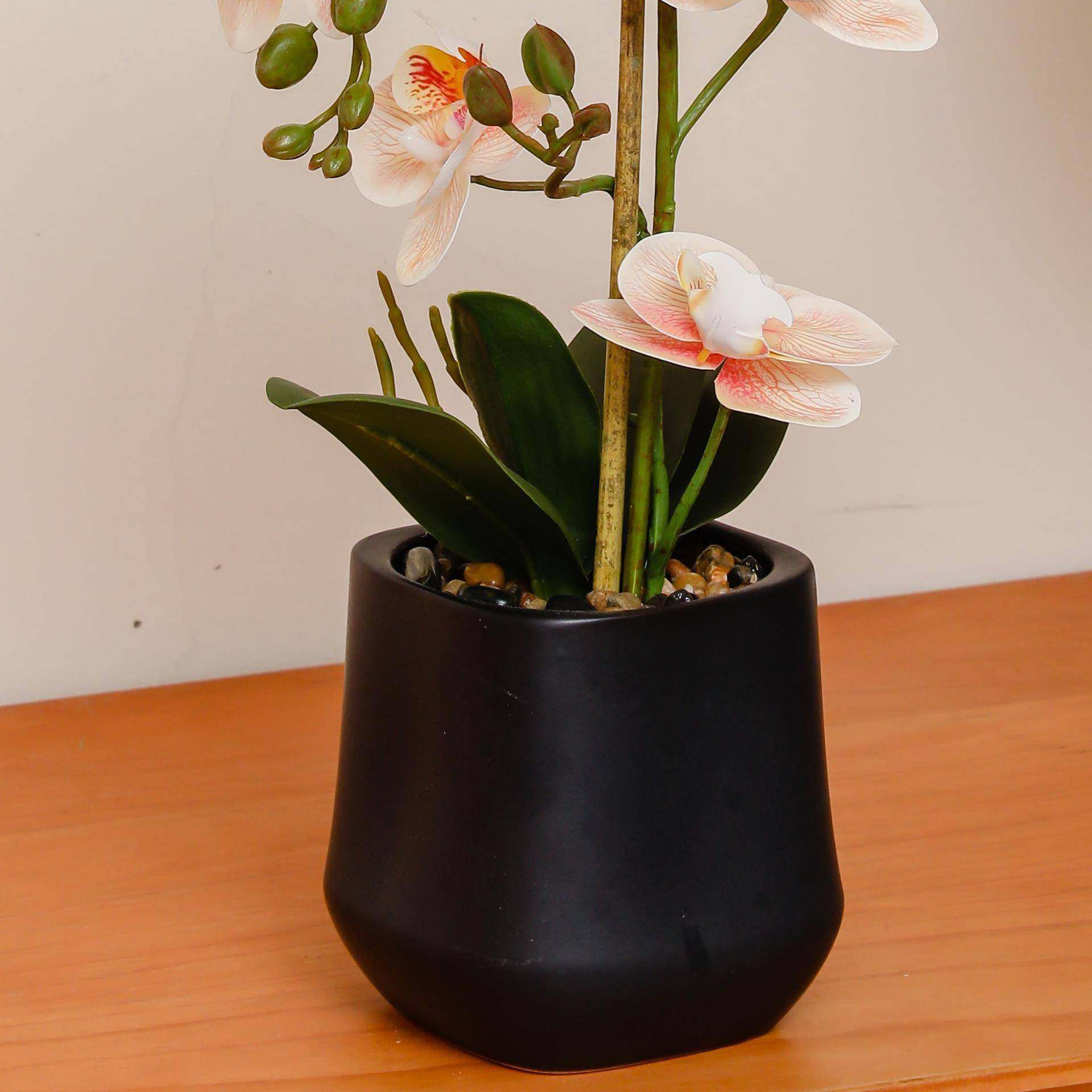 蝴蝶兰盆栽仿真花仿生花地摆花兰花含盆陶瓷盆四方款中国风,淘宝优惠券,粉丝福利购,淘宝优惠卷