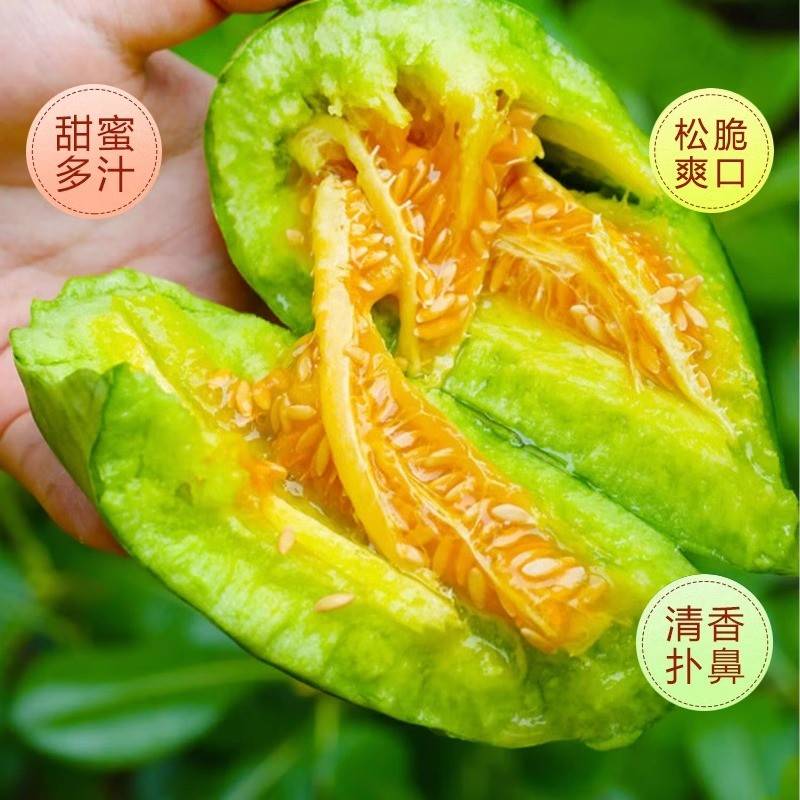 山东羊角蜜甜瓜水果新鲜当季整箱5斤包邮小密瓜香瓜蜜瓜羊角脆 - 图0