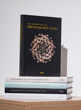 零基础学静物摄影 现代真书内z页别墅大风格摆件装饰桌面卧室拍摄