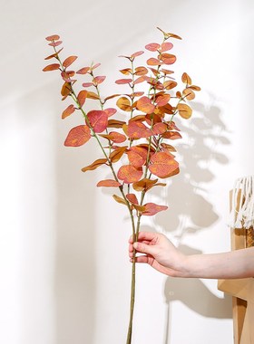 田园风尤加利叶仿真花束客厅插花装饰I摆件手捧绿植造景拍摄道具