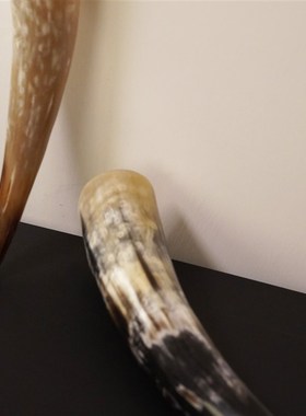 一枚橙 c天然中古牛角售楼部样板房茶几台面压书摆件电视柜装饰品