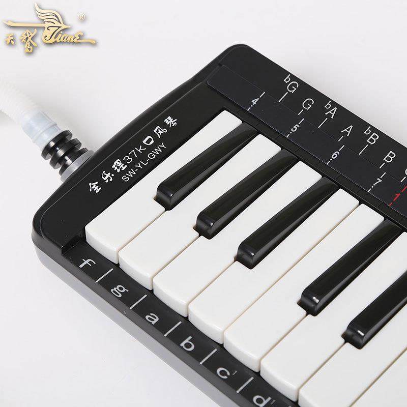 天鹅37键全乐理口风琴成人儿童学生入门吹奏演奏乐器,淘宝优惠券,粉丝福利购,淘宝优惠卷