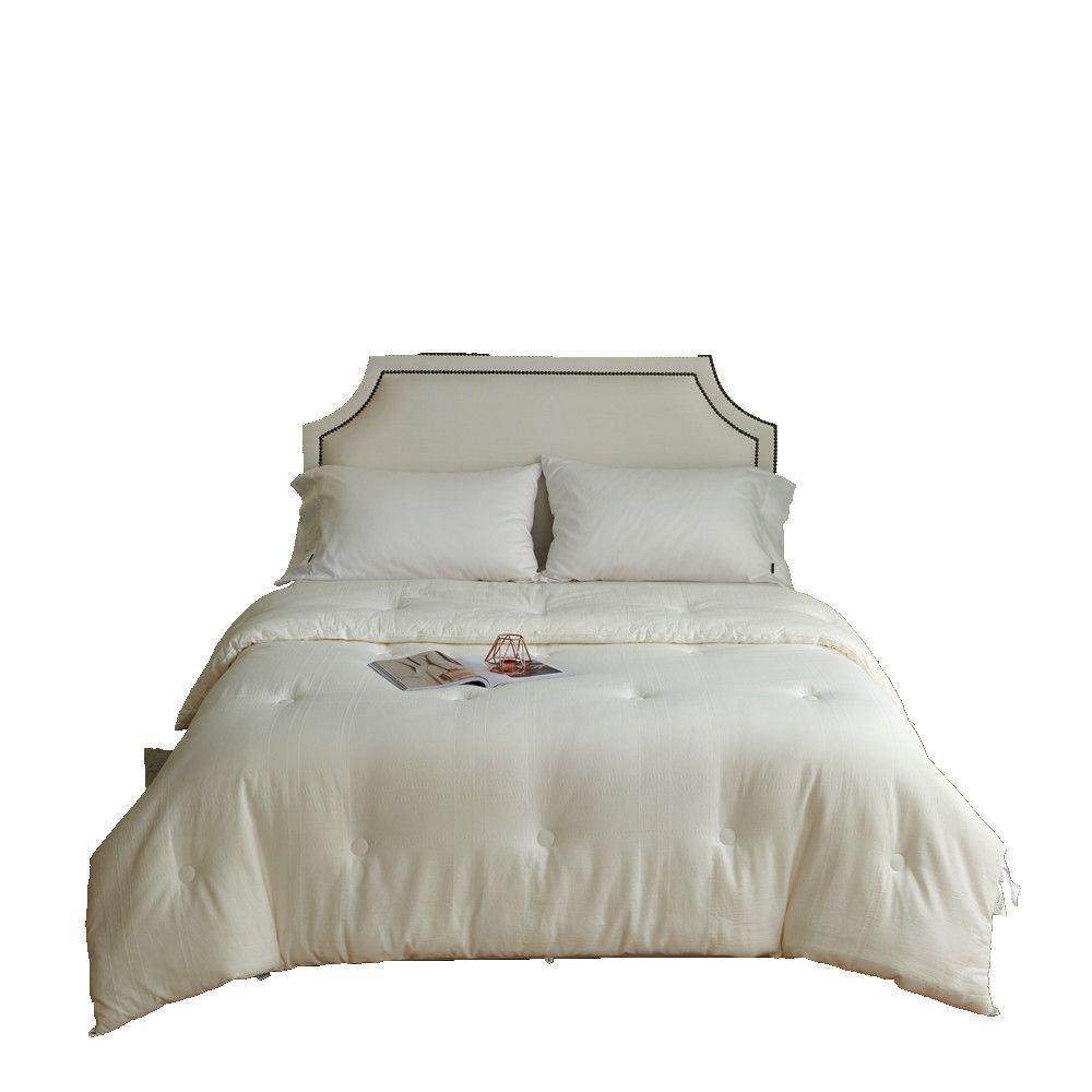 不染大豆纤维被芯全棉加厚保暖纯棉云暖绒纤维冬被柔软春秋被子,淘宝优惠券,粉丝福利购,淘宝优惠卷