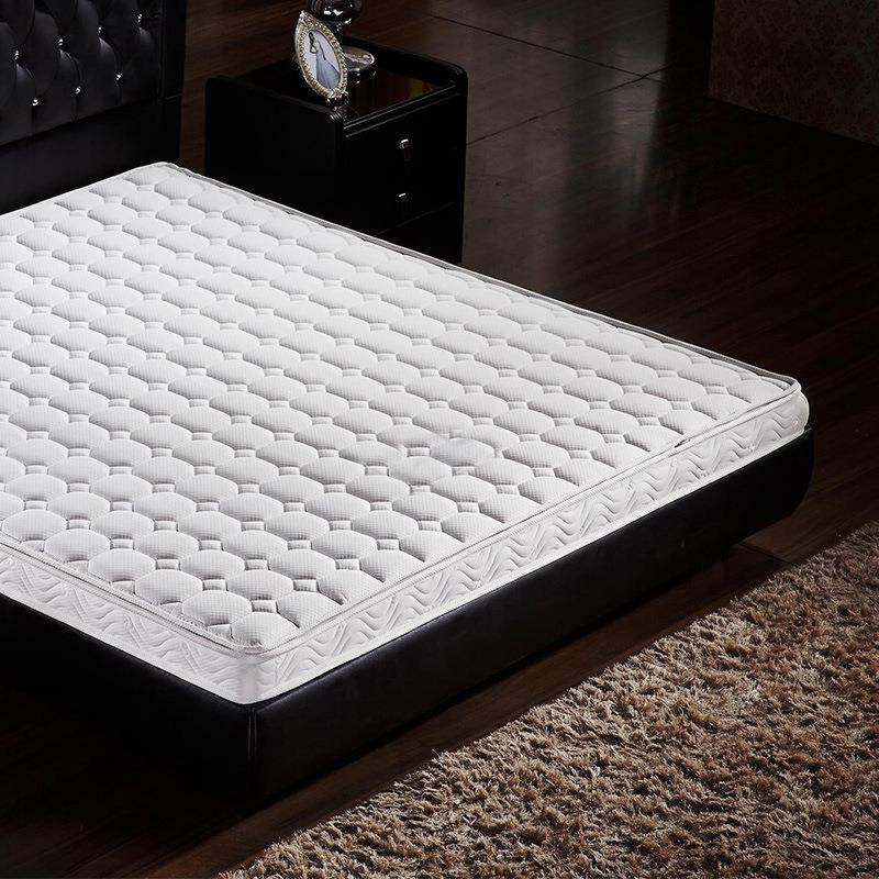 单人薄棕榈学生儿童家用椰棕床垫环保棕垫硬垫订做,淘宝优惠券,粉丝福利购,淘宝优惠卷