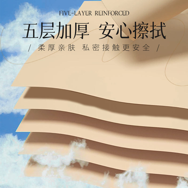 圣泉云感柔肤加厚立体压花卷纸厕纸家用实惠卫生纸无芯5层12卷/提