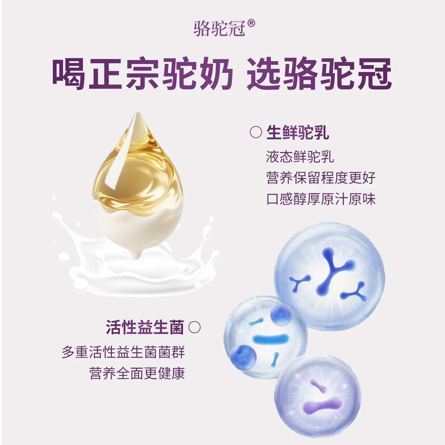 骆驼冠驼奶粉富硒初乳配方驼乳粉益生菌骆乳新疆驼奶营养粉