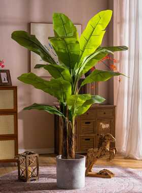 森艺诚高端轻奢大型仿真芭蕉树植物仿生假树绿植室内客厅造景装饰