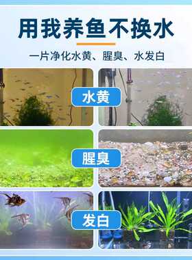 鱼缸净水片清澈剂一滴特清除腥臭味去黄水浑养鱼水质净化