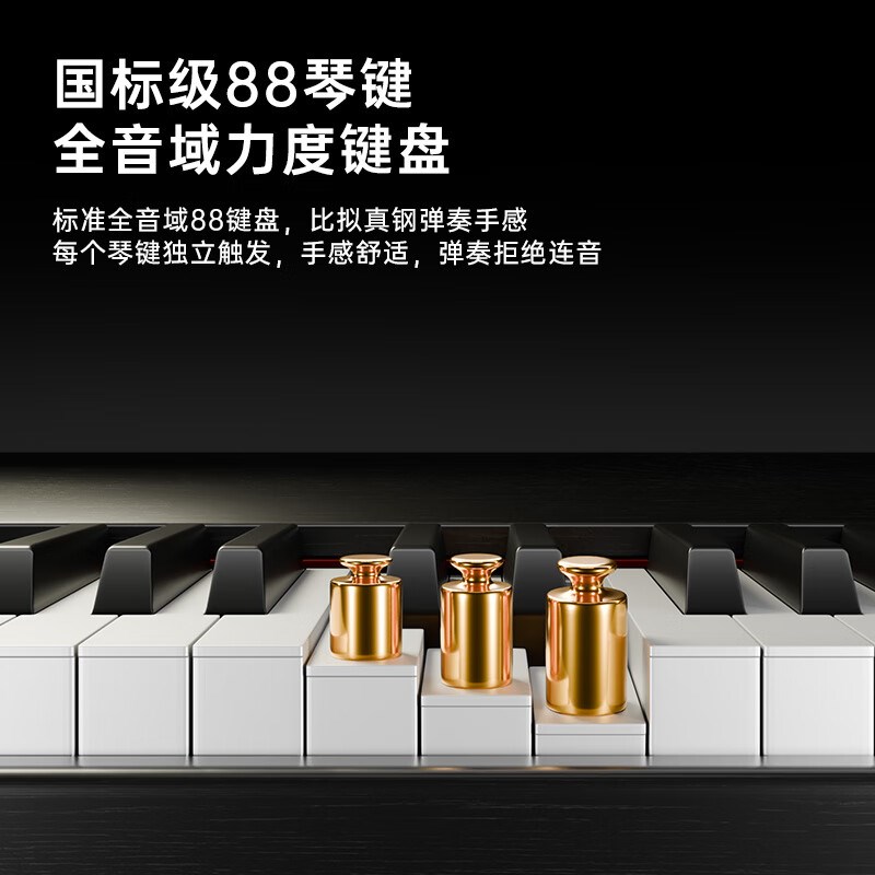 便携式折叠电子钢琴88键重锤专业考级成年初学者幼师宿Y舍键盘家 - 图1