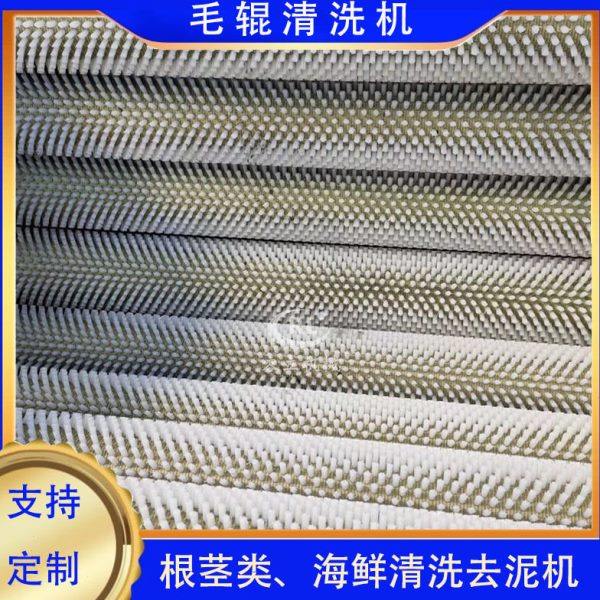 厂家供应牡蛎清洗机 辊刷式扇贝毛蛤去泥机 全自动田螺钉螺清洗机,淘宝优惠券,粉丝福利购,淘宝优惠卷