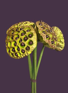 塑荷高档景真料花莲花荷叶水池造仿假花莲蓬装饰摆件花瓶加仿真花