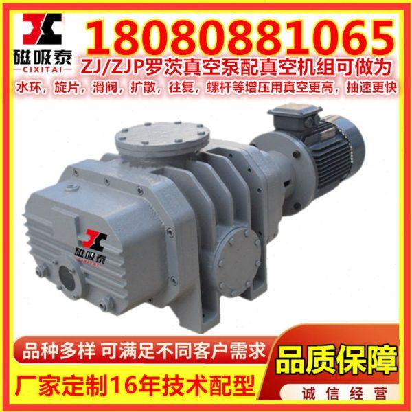 南通ZJP-300罗茨真空泵 罗茨式真空泵机组 真空铁矿厂ZJ罗茨泵,淘宝优惠券,粉丝福利购,淘宝优惠卷