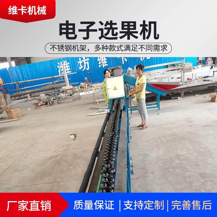 维卡现货销售圆形水果选果机 柠檬猕猴桃果实重量分级设备分拣机,淘宝优惠券,粉丝福利购,淘宝优惠卷