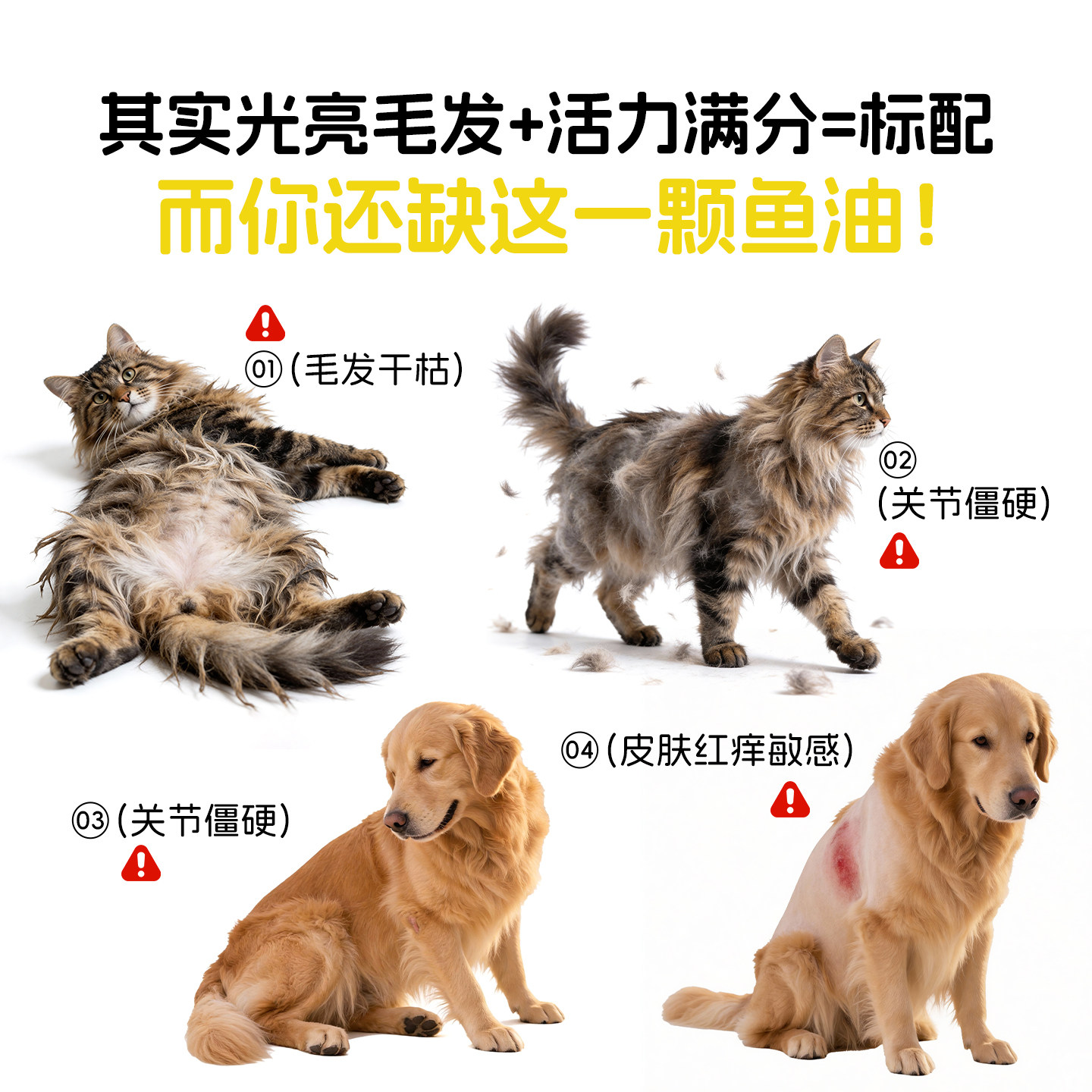 澳洲进口gdaypaw澳派维鱼油狗狗专用防掉毛宠物美毛亮毛狗狗犬用,淘宝优惠券,粉丝福利购,淘宝优惠卷