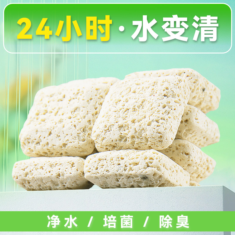 滤材鱼缸过滤材料珊瑚骨滤材鱼缸专用鱼池净水海缸培菌珊瑚石滤材,淘宝优惠券,粉丝福利购,淘宝优惠卷