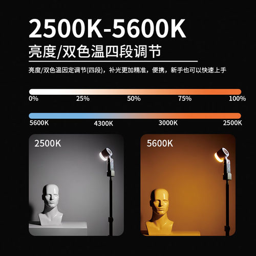 阿法特12W便携式外拍NL12补光灯口袋灯人像补光灯可旋转灯头LED灯 - 图0