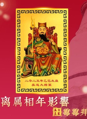 五台直发2025年太岁卡吴遂大将军摆件生肖属猪虎猴蛇本命年护身符