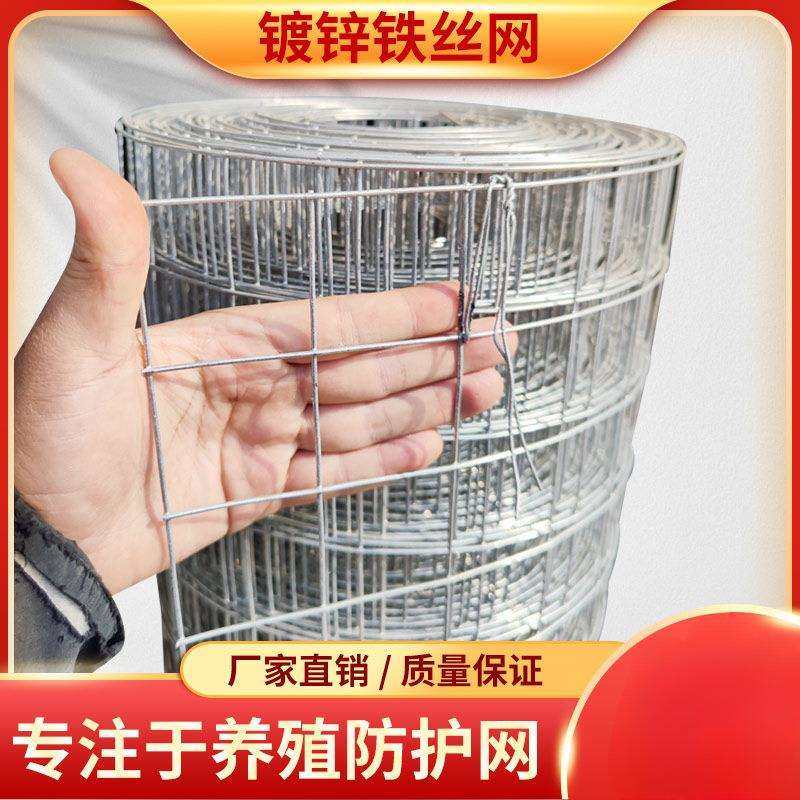铁丝网围栏热镀锌电焊网片网格围栏养殖网钢丝防护网圈地网荷兰网,淘宝优惠券,粉丝福利购,淘宝优惠卷