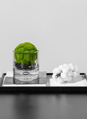 Rzone 现代轻奢样板间床头柜玻璃苔藓小花器桌面绿植软装饰品摆件