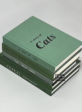 简约绿色装饰真书轻奢样板房书柜玄关可翻页仿真道具书籍饰品摆件