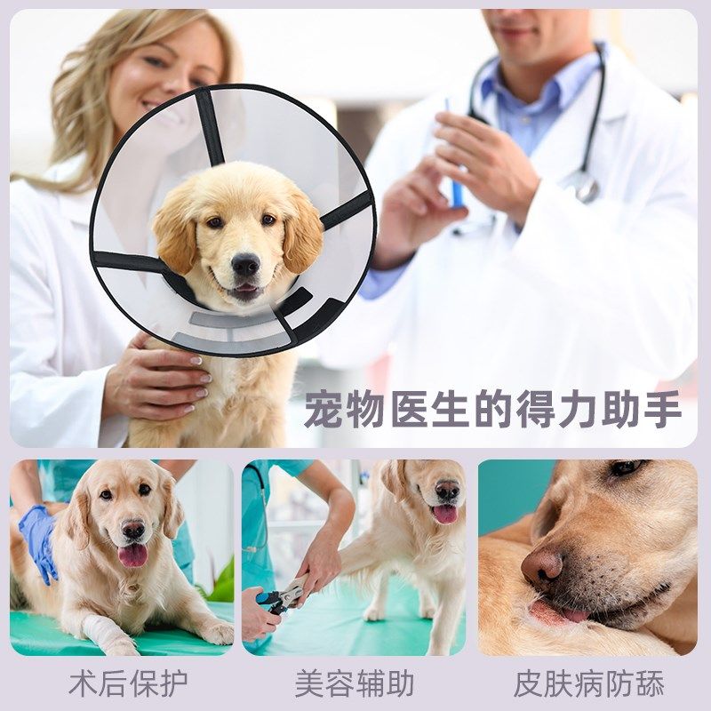2024款狗狗加深加大伊丽莎白圈防蹬耳朵防舔腿肚子防抓绝育手术,淘宝优惠券,粉丝福利购,淘宝优惠卷