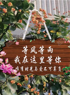 家用阳台花园庭院民宿DIY墙上挂件吾家小院创意门牌定制装饰挂牌