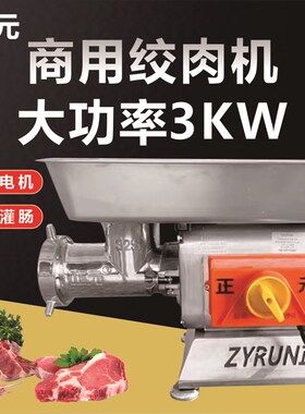 大正元冻肉商用不锈钢大功率电动RY12S22S32S自动绞肉碎肉灌肠机
