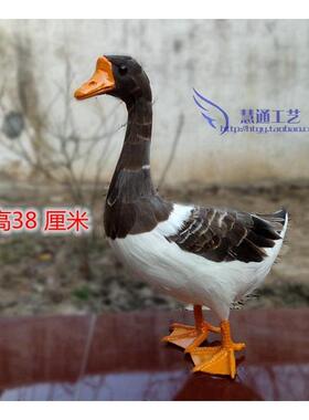 仿真动灰色鹅鹅物型羽毛家禽模居家创意田园摆件儿童认知教DJJ学