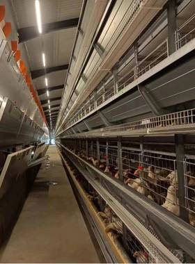 养殖场鸡笼全自动大层叠热镀锌鸡笼子自动收集自动清粪层叠式H型