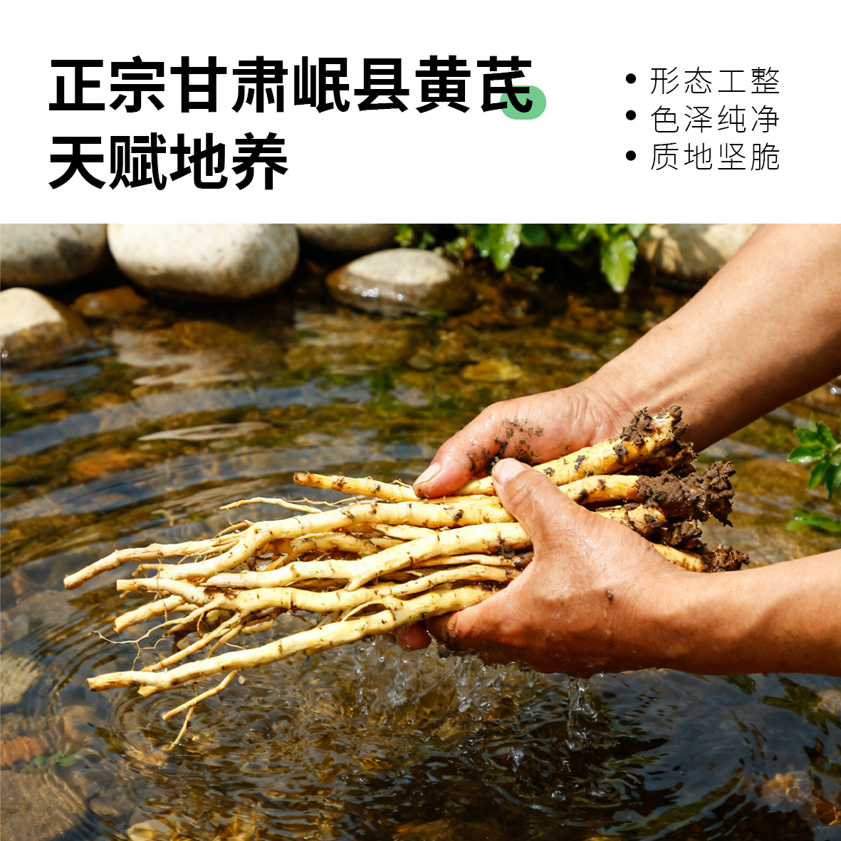 黄芪500g野生特级黄氏正品北芪片中药材当归党参茶泡水官方旗舰店