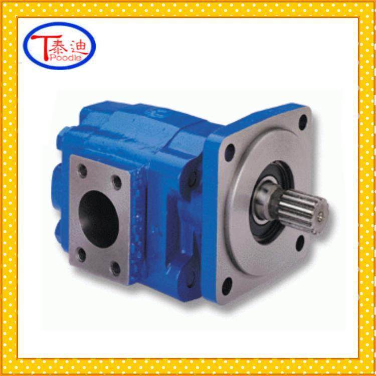 P124-G25182ID-54G齿轮泵高压齿轮油泵,淘宝优惠券,粉丝福利购,淘宝优惠卷