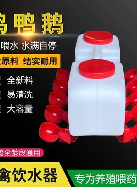 养鸡全自动饮水器散养家禽喂水壶家禽喂水桶水壶鸡鸭自动饮水碗