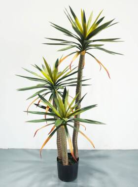 仿真植物大叶剑兰凤尾丝兰树剑麻仿真绿植盆景造景摆件工程绿植