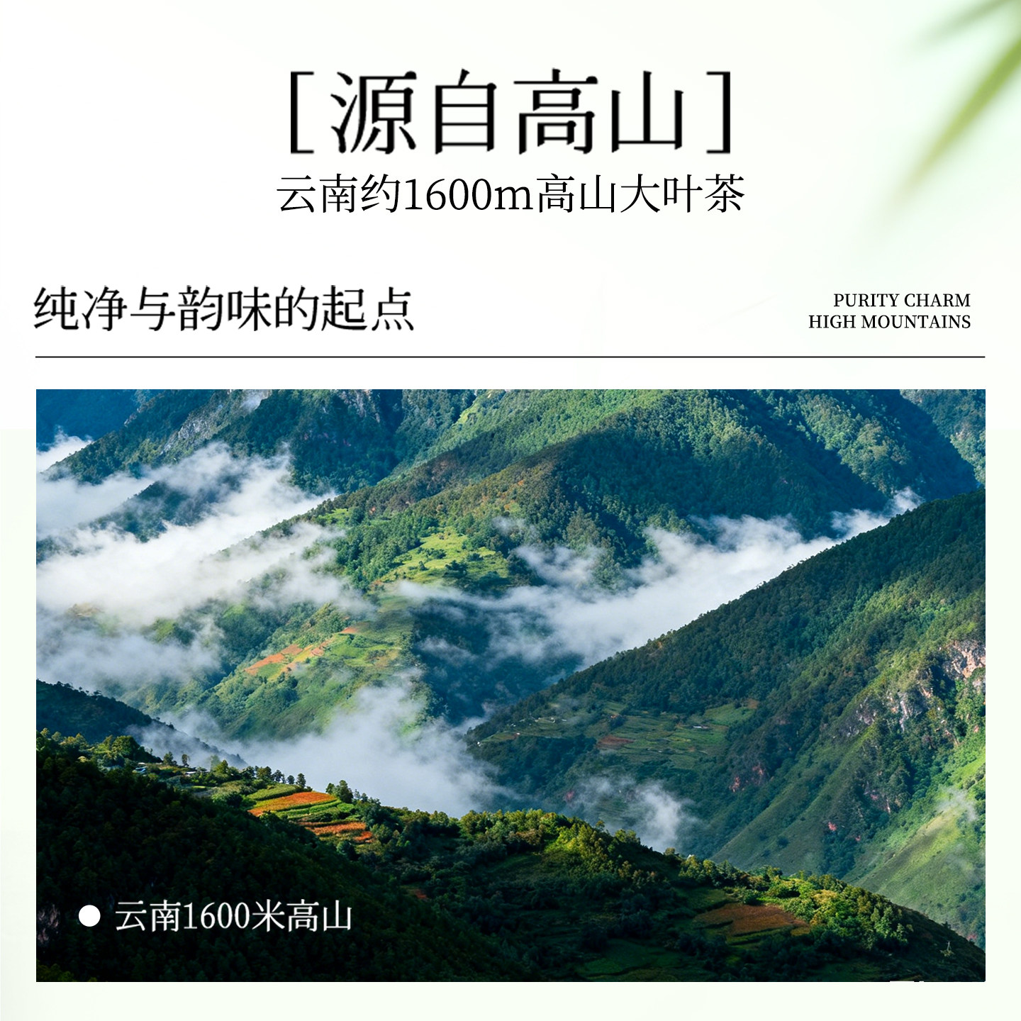 dy业务代涨评论:揭秘如何轻松实现内容涨粉?