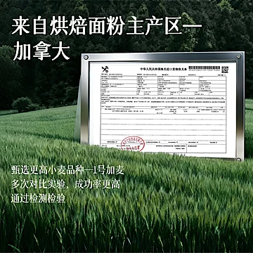 刘三姐烘焙专用高筋面粉500g[6元优惠券]-寻折猪