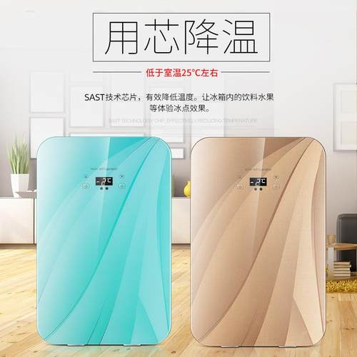 两用SA25L单门式宿舍车载家用迷你小冰箱制冷车家ST双核学生宿舍 - 图3