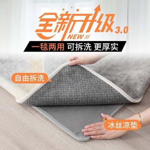 可拆洗机洗水洗石墨烯电热地毯家用客厅移动地暖垫加热暖脚取暖垫 - 图1