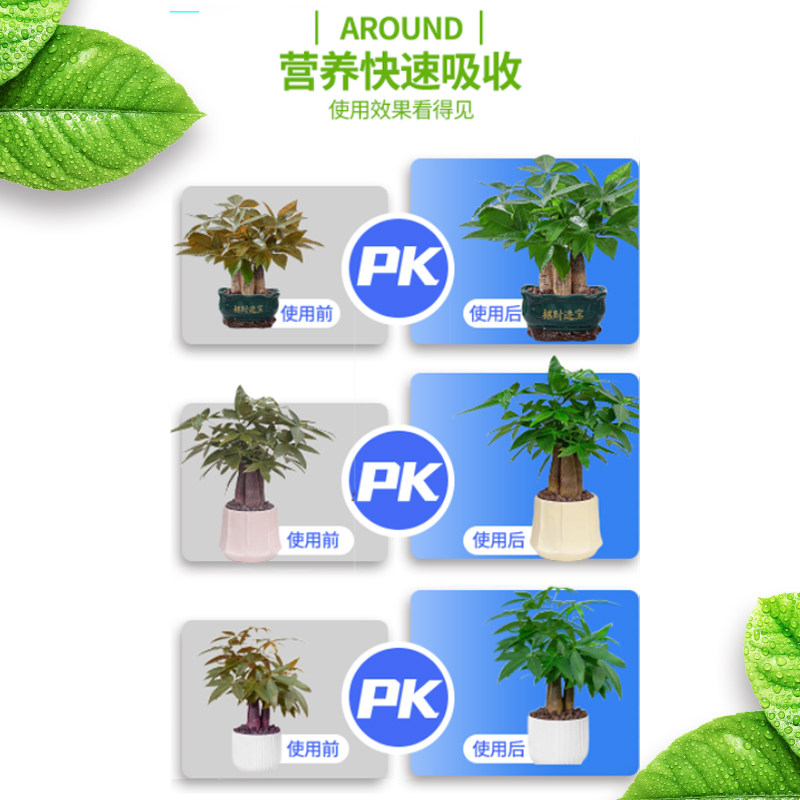 发财树专用营养液黄叶枯叶烂根专用药室内盆栽绿植植物通用肥料,淘宝优惠券,粉丝福利购,淘宝优惠卷