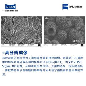 蔡司SEM台式扫描电镜Sigma300电子扫描显微镜生产价格