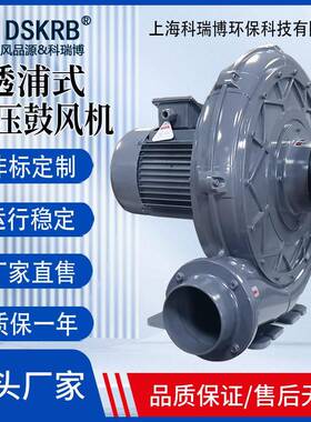 CX-100透浦式中压风机吸废气工业退火炉助燃风机耐高温离心风机