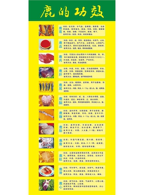 梅花鹿鹿鞭的功效详解作用海报墙贴纸装饰画挂画广告图