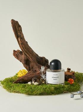 天然沉木造景 枯木拍照道具树枝木头装饰ins静物摄影陈列摆件干