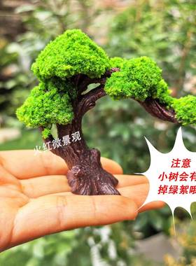 彷真迷你迎客松小树松树沙盘diy装饰 假山盆景微景观苔藓造景摆件